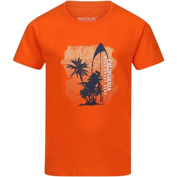 Vêtements Enfant T-shirts Grigio manches courtes Regatta  Orange
