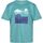 Vêtements Enfant T-shirts manches courtes Regatta Alvarado VII Bleu