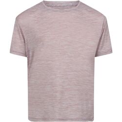 Vêtements cotton T-shirts manches courtes Regatta  Violet