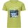 Vêtements Enfant T-shirts manches courtes Regatta Bosley VI Vert