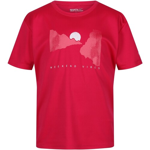Vêtements Enfant T-shirts manches courtes Regatta Alvarado VII Rouge