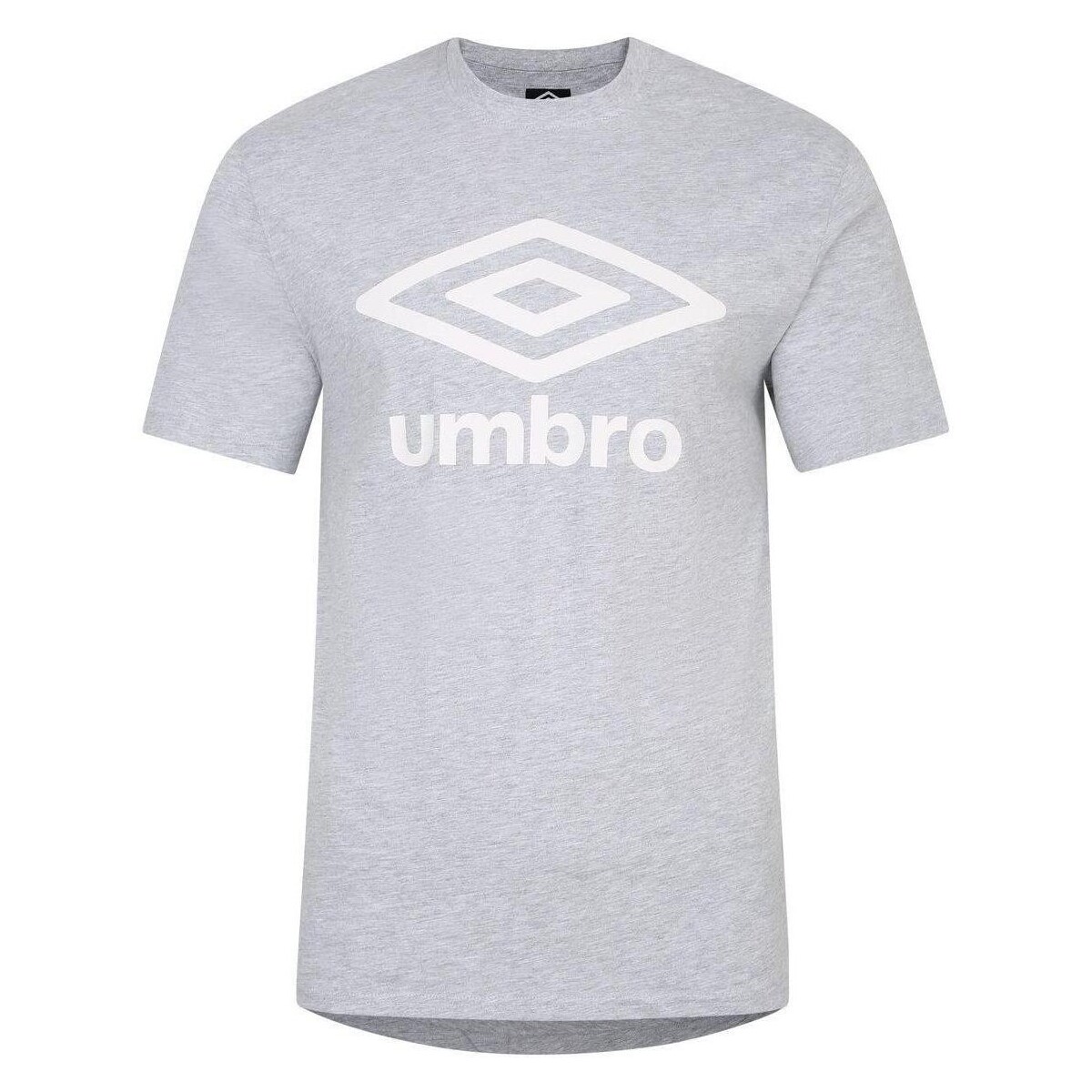 Vêtements Homme T-shirts manches longues Umbro Team Blanc