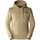 Vêtements Homme Pulls The North Face Simple Dome Hoodie Beige