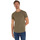Vêtements Homme T-shirts manches courtes Tommy Jeans Flag Kaki