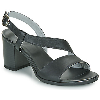 Chaussures Femme Sandales et Nu-pieds NeroGiardini E410440D Noir