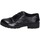 Chaussures Femme Derbies & Richelieu Luciano Barachini EY165 Noir