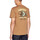 Vêtements Homme T-shirts & Polos Converse 10023269-A04 Marron