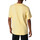 Vêtements Homme T-shirts & Polos Converse 10023787-A03 Jaune