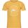 Vêtements Enfant T-shirts manches courtes Regatta Bosley VI Multicolore