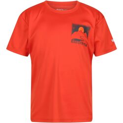 Vêtements cotton T-shirts manches courtes Regatta  Rouge