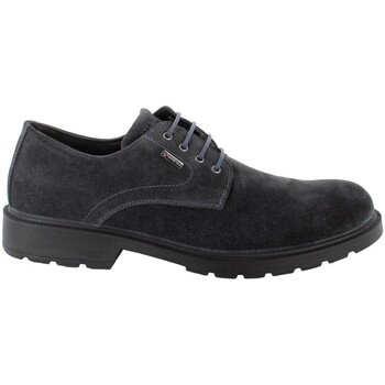 Chaussures Homme Derbies & Richelieu IgI&CO 4602511 Bleu