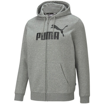 Vêtements Homme Sweats GARFIELD Puma 586698-03 Gris