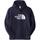 Vêtements Homme Sweats The North Face M drew peak pullover graphic hoodie - eu Bleu