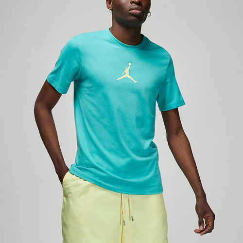 Vêtements Homme T-shirts & Polos Nike T-Shirt  Jumpman / Turquoise Bleu