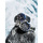 Montres & Bijoux Homme Montres Analogiques Alpina AL-247GB4E6B, Quartz, 42mm, 10ATM Argenté