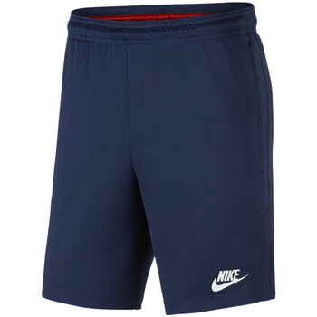 Vêtements Homme Shorts / Bermudas Nike AO5292-410 Bleu