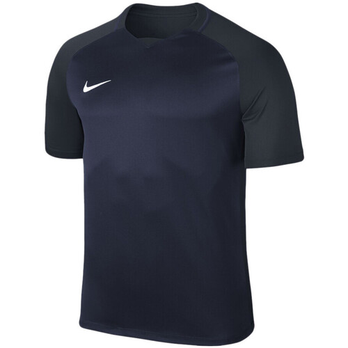 Vêtements Garçon T-shirts & Polos Grey Nike 881484-410 Bleu