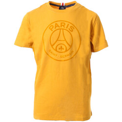 Vêtements Garçon T-shirts manches courtes Paris Saint-germain P13619CL26 Jaune