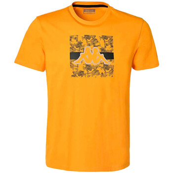 Vêtements Homme T-shirts manches courtes Kappa 381L5HW Orange