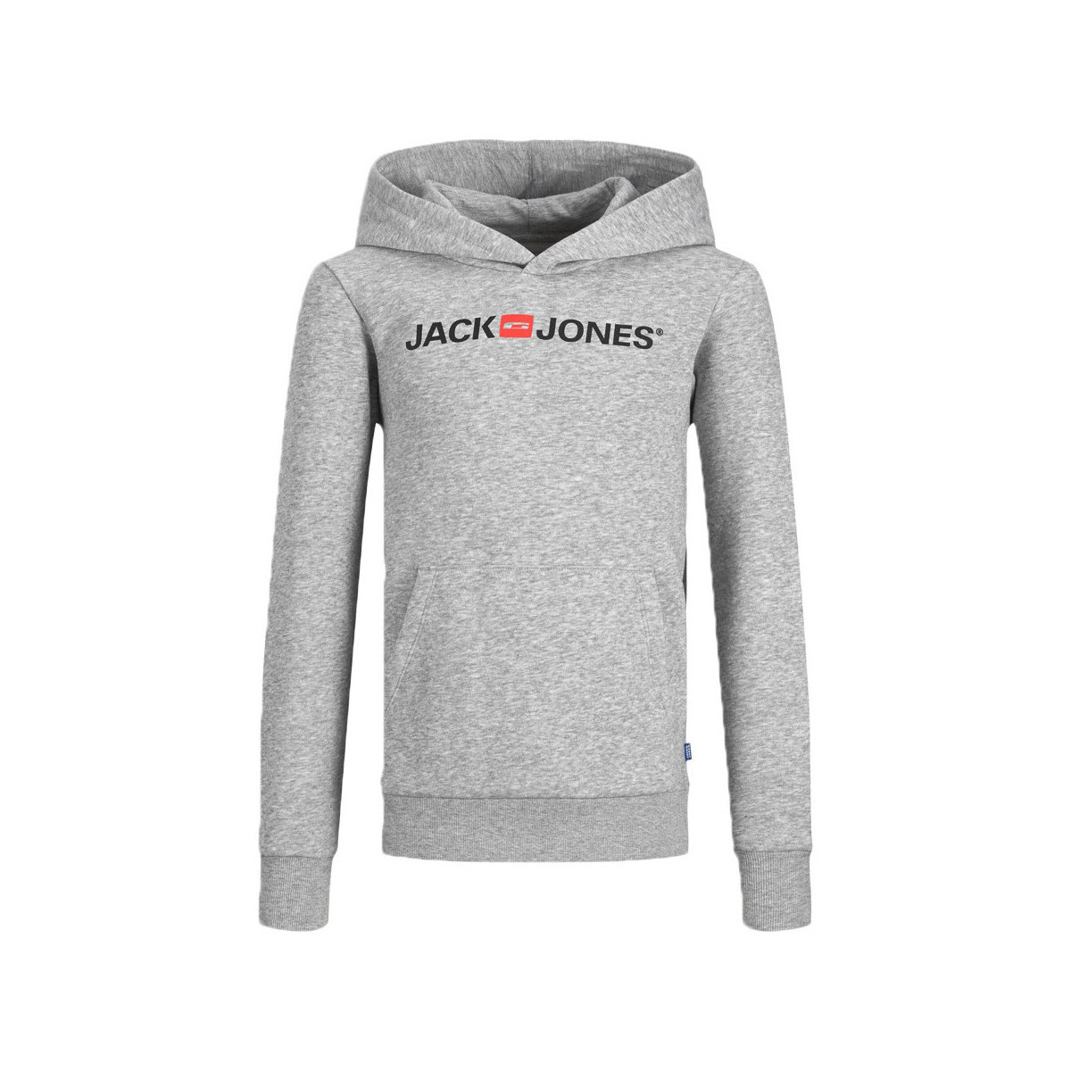 Vêtements Garçon Sweats Jack & Jones 12212186 Gris