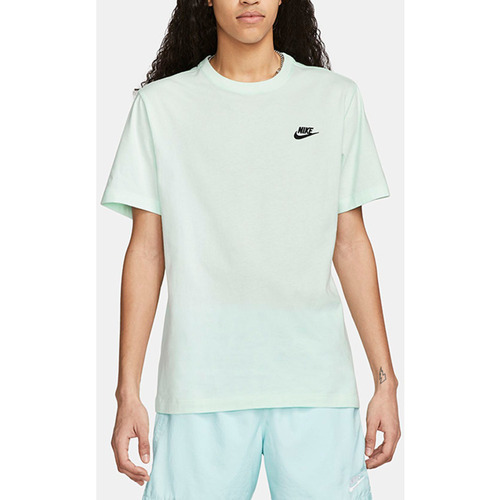 Vêtements Homme T-shirts & Polos Nike T-Shirt  Club / Vert Vert