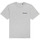 Vêtements Homme T-shirts manches courtes Element Blazin Gris