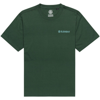 Vêtements Homme T-shirts manches courtes Element Blazin Vert