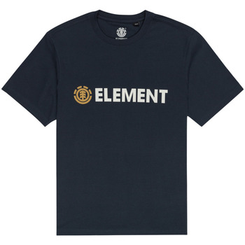 Vêtements Homme T-shirts & Polos Element Blazin Noir
