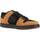 Chaussures Homme Baskets mode DC Shoes MANTECA 4 M SHOE Marron