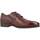Chaussures Homme Derbies & Richelieu Pitillos 112P Marron