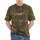 Vêtements Homme Chemises manches courtes Vans CLASSIC EASY BOX Vert
