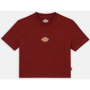 Vêtements Femme T-shirts manches courtes Dickies MAPLE VALLEY TEE Rouge