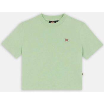 Vêtements Femme T-shirts manches courtes Dickies OAKPORT BOXY TEE SS W Vert