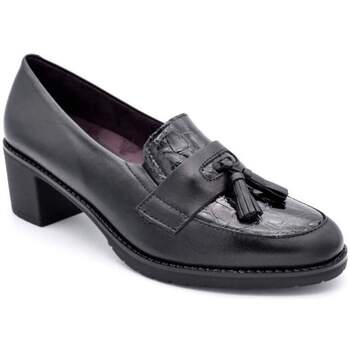 Chaussures Femme Derbies & Richelieu Pitillos 5331 Noir
