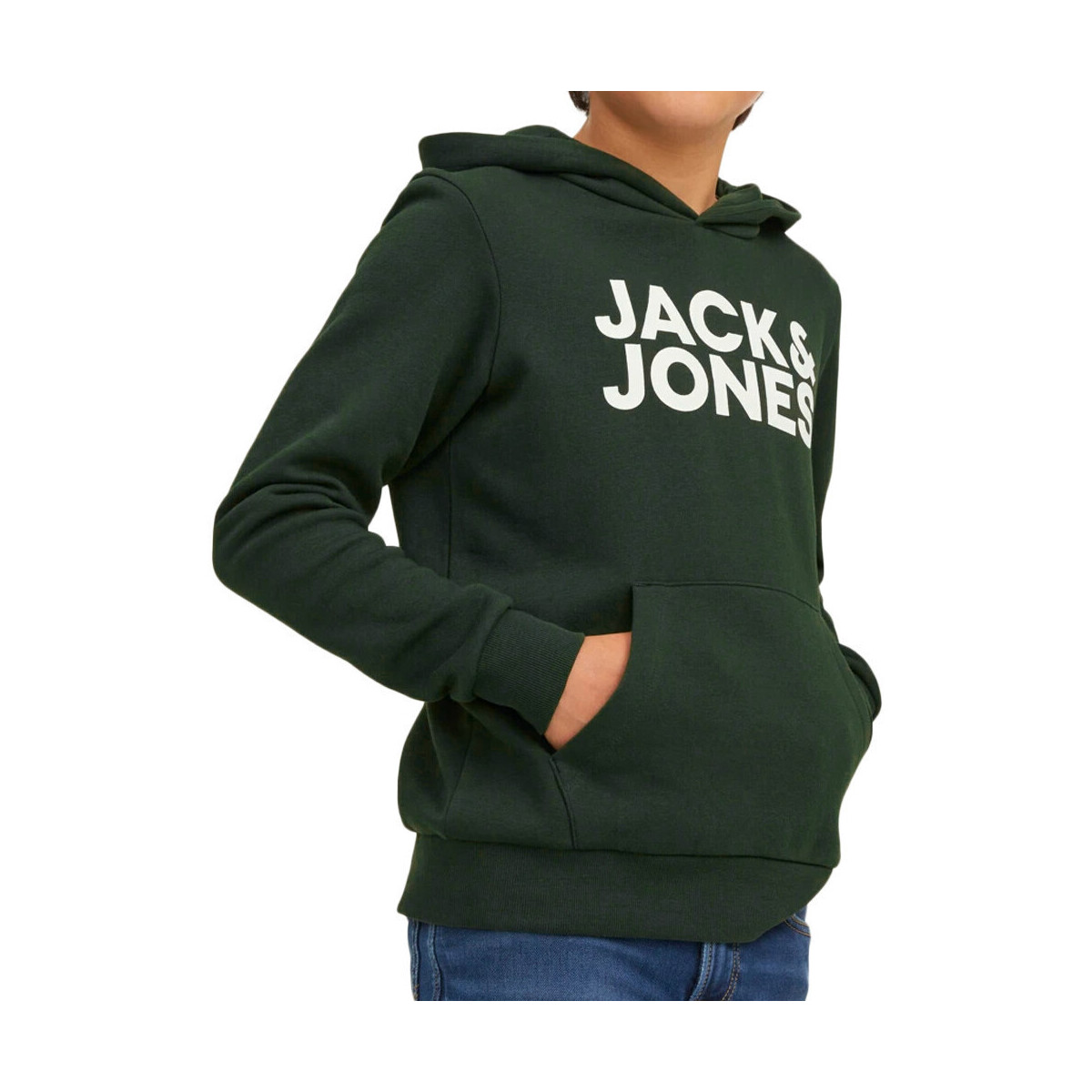 Vêtements Garçon Sweats Jack & Jones 12152841 Vert