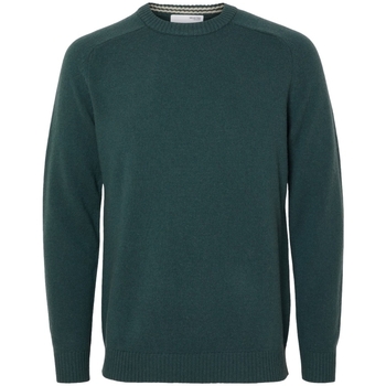 Vêtements Homme Pulls Selected Noos New Coban Knit - Green Gables/Kelp Vert