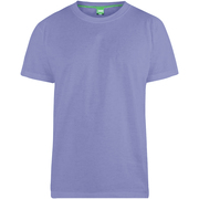 AllSaints Tonic Hellgrünes T-Shirt mit Widderkopf-Logo