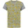 Vêtements Garçon T-shirts manches courtes Pokemon NS303 Gris