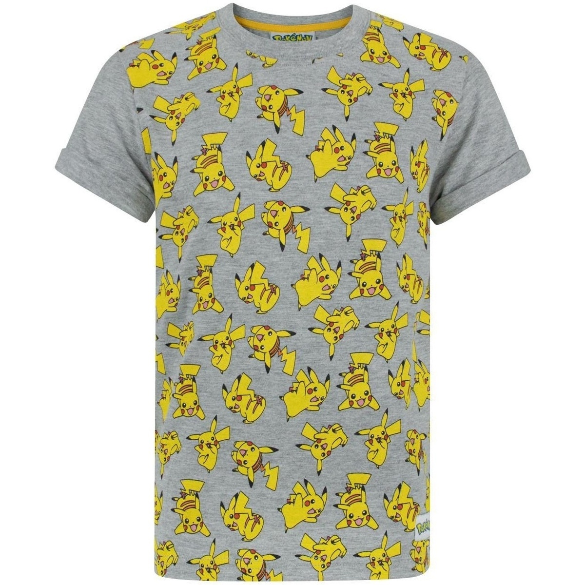 Vêtements Garçon T-shirts manches courtes Pokemon  Gris