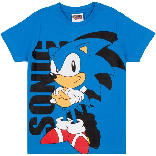 Vêtements Garçon T-shirts manches longues Sonic The Hedgehog NS6781 Bleu