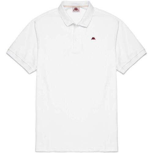 Vêtements Homme T-shirts & Polos Kappa Polo Hegor Robe di Blanc