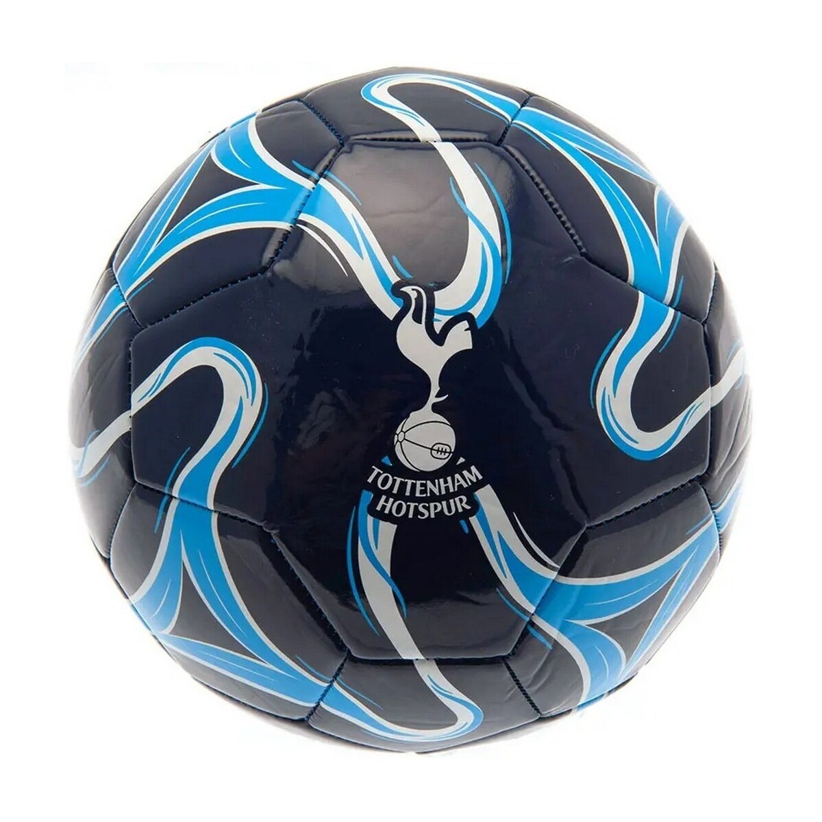 Accessoires Accessoires sport Tottenham Hotspur Fc Cosmos Bleu