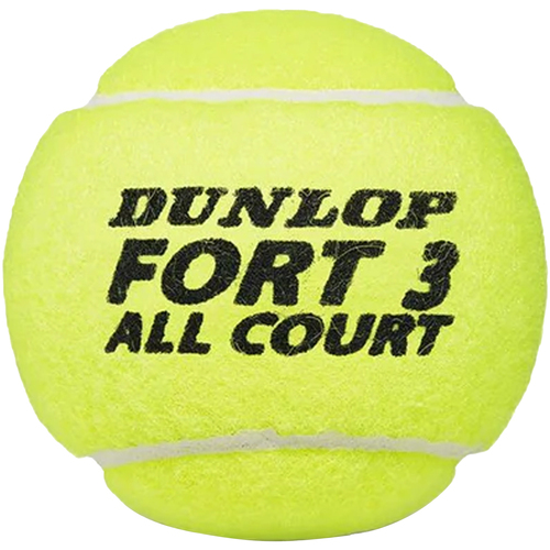 Accessoires Accessoires sport Dunlop Fort All Court Multicolore