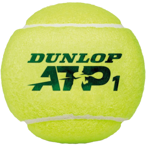 Accessoires Accessoires sport Dunlop ATP Noir