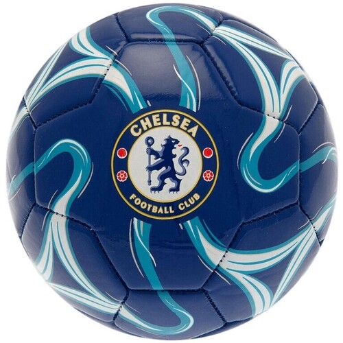 Accessoires Accessoires sport Chelsea Fc Cosmos Bleu