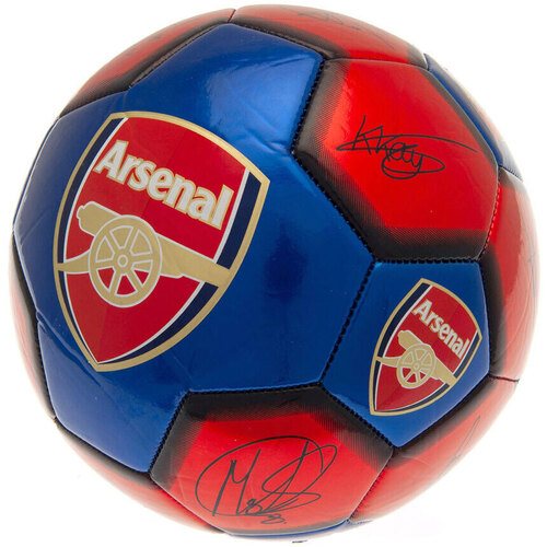 Accessoires Accessoires sport Arsenal Fc Victory Through Harmony Rouge