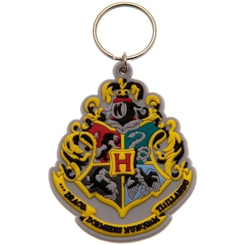 Accessoires textile Porte-clés Harry Potter  Multicolore