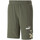 Vêtements Homme Shorts / Bermudas Puma 673340-73 Vert