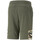 Vêtements Homme Shorts / Bermudas Puma 673340-73 Vert