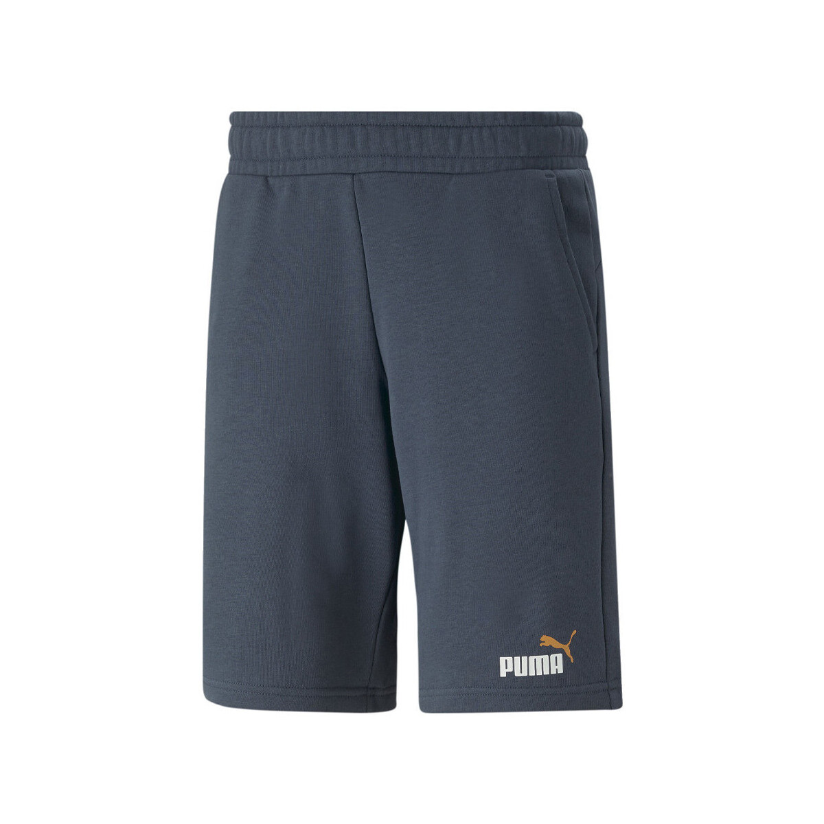 Vêtements Homme Shorts / Bermudas Puma 586766-15 Bleu